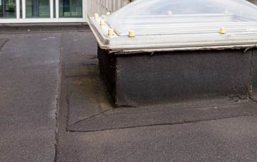 disadvantages of East Clyne flat roofs