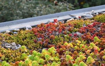 the cost of East Clyne green roof installation