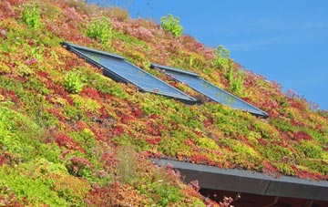 East Clyne living roof systems