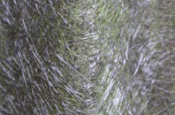 East Clyne fibreglass roof work